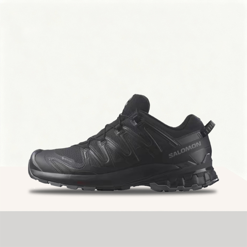 Salomon XA Pro 3D V9 GTX : Cha - Salomon Shoes Xa Pro 3D avis et prix